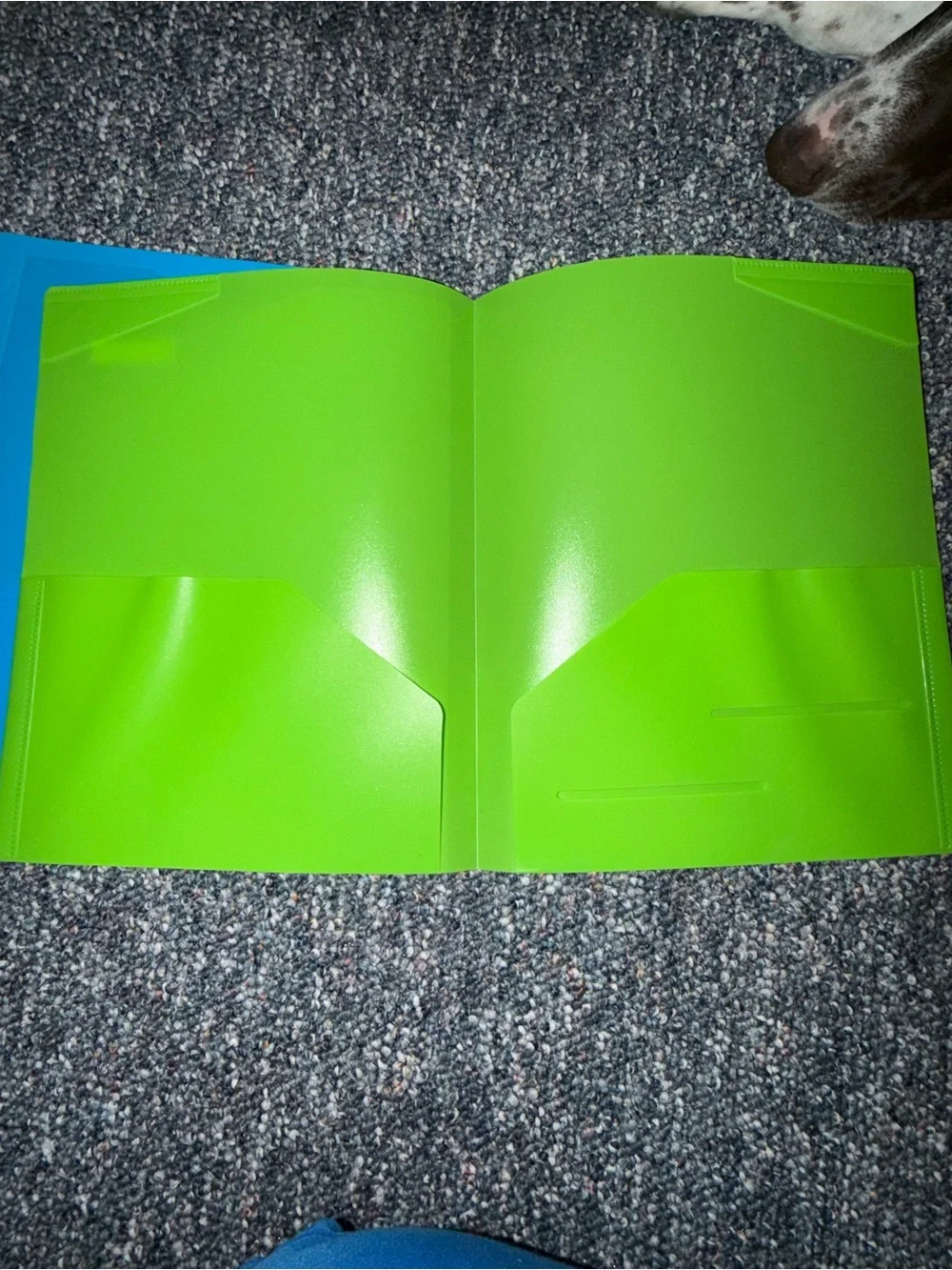 Set of 4 Colorful Plastic Binders - Orange, Blue, Green, Yellow